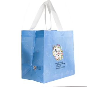 non-woven ultrasonic bags