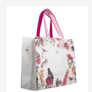 non-woven ultrasonic bags