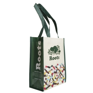 non-woven ultrasonic bags
